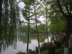 -雁滩公园
