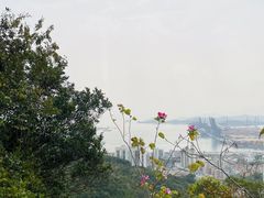 -梅沙尖