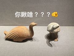 -河南博物院