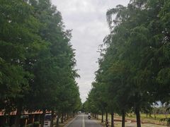 -祝甸砖窑文化馆