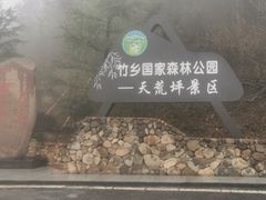 -江南天池