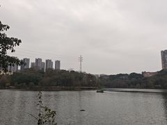 -重庆彩云湖湿地公园