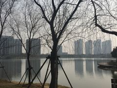 -南翔镇银翔湖公园