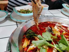 -蛙一刀·麻椒鱼火锅(金仙桥店)