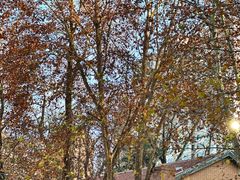 -西安电影制片厂