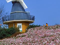 -海花岛旅游度假区