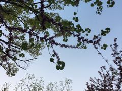 -苏州湾王焰温泉度假酒店