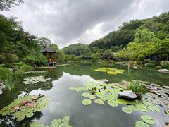 -云溪植物园