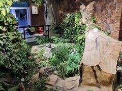 -中山市树木园