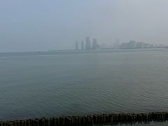 -万绿园