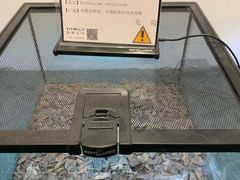-金鹰超市(国际购物中心新街口店)
