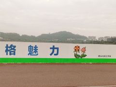 -立新湖公园