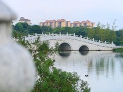 -荔湾湖公园