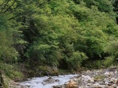 -报恩寺(平武县)