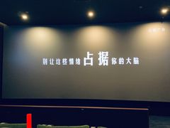 -深影国际影城(学院南路店CGS中国巨幕店)