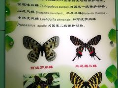 -上海昆虫博物馆