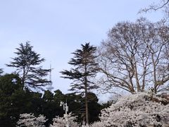 -青岛电视塔