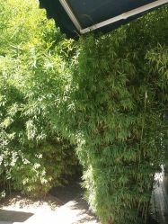 -爱儿美儿童摄影(奥森公园店)