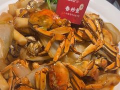 -周家二小姐的菜·扬州菜·香炒蟹·狮子头(江都金鹰店)