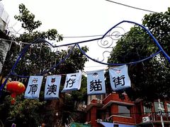 -猫咪博物馆(顶澳仔猫街店)