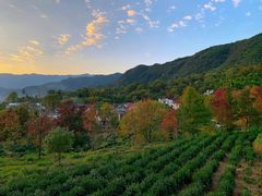 -塔川景区