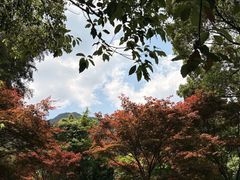 -北仑森林植物园