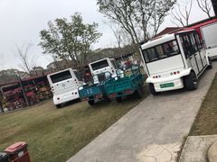 -上海长兴岛郊野公园