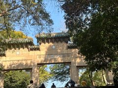 -灵谷景区