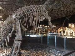 景点-世界恐龙谷景区