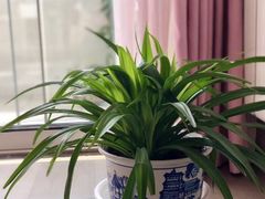 -成都恒博医院·全科检查