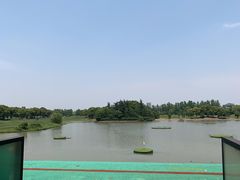 -银涛高尔夫练习场(徐泾店)