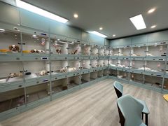 -萌宠之家·腊肠犬·马尔泰·小体犬舍