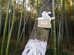 -苏州环秀晓筑养生度假村