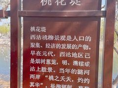 -桃花堤公园