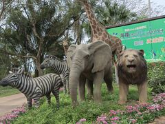 -海南热带野生动植物园