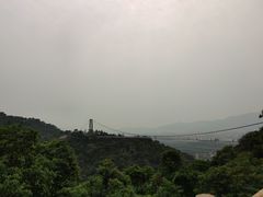 -南丹山森林王国