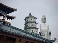 -天津大悲禅院