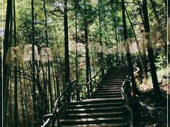 -石燕湖生态旅游景区