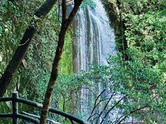 -大鄣山卧龙谷景区