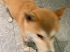 -七号湘(南湖路店)