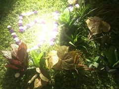 -路边摊小炉子烧烤