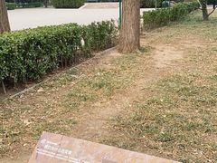 -玲珑塔公园