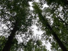 -河南省黄河迎宾馆
