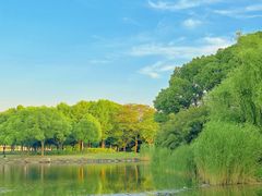 -蠡湖大桥公园