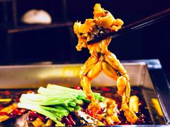 美蛙鱼头火锅-三只耳火锅(宽窄巷子店)