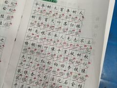 -赵汝飞练字硬笔书法(静安大融城校区)