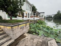 -湘湖金融镇