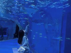 -波塞冬旅游度假区