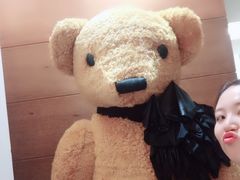 -济州岛泰迪熊博物馆