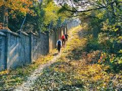 -杭州半山国家森林公园